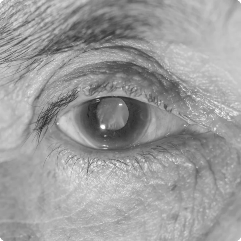 Home 6 3bw 1024x1024