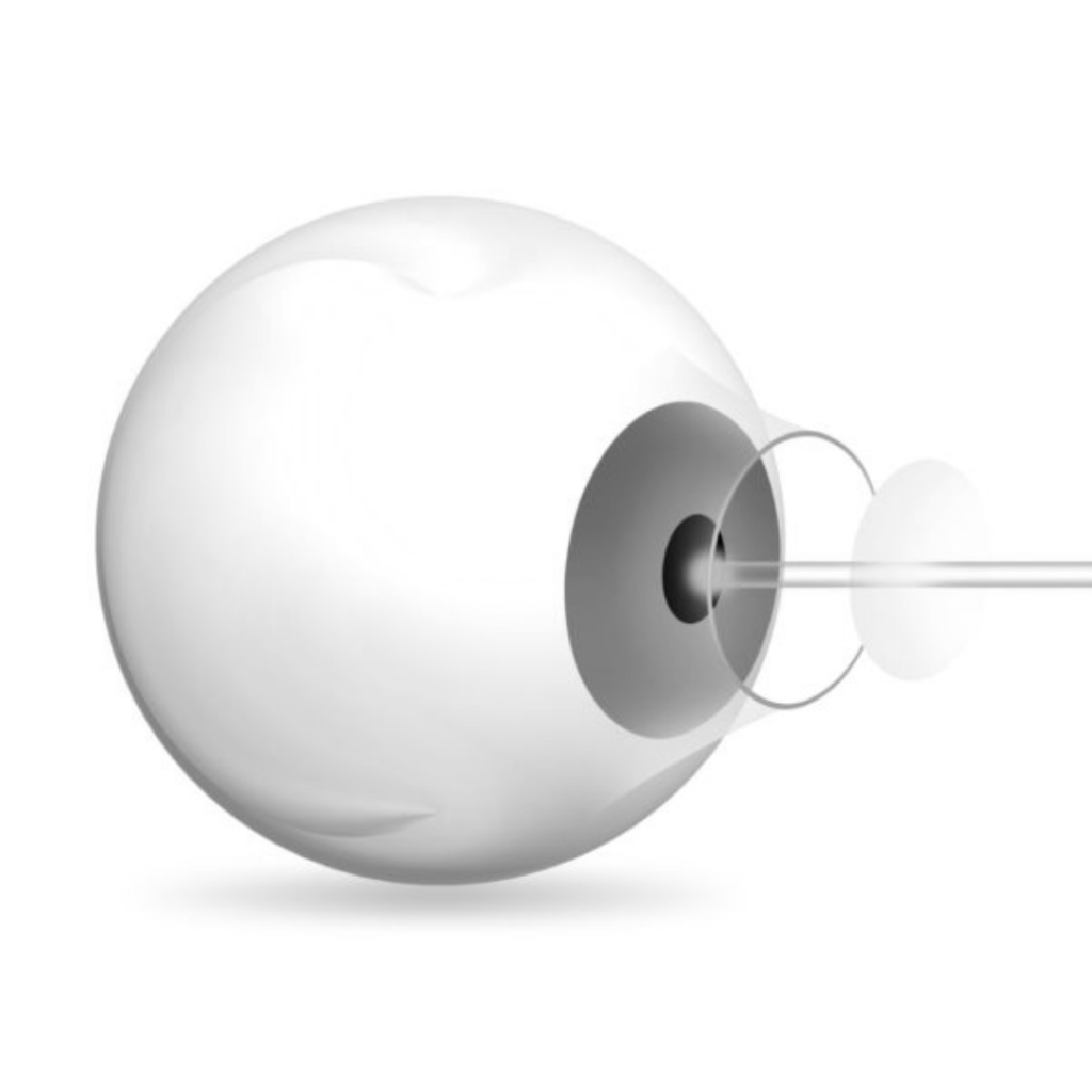 Home 10 6bw 1024x1024